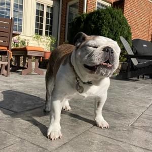 Meet your Posher, Elaina